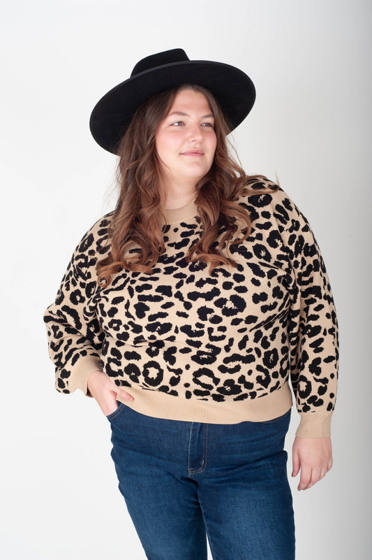 Curvy Charlotte Sweater