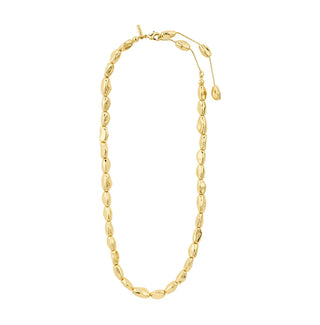 A gold necklace featuring a series of elongated, polished shell-like links, displayed on a clean white background.