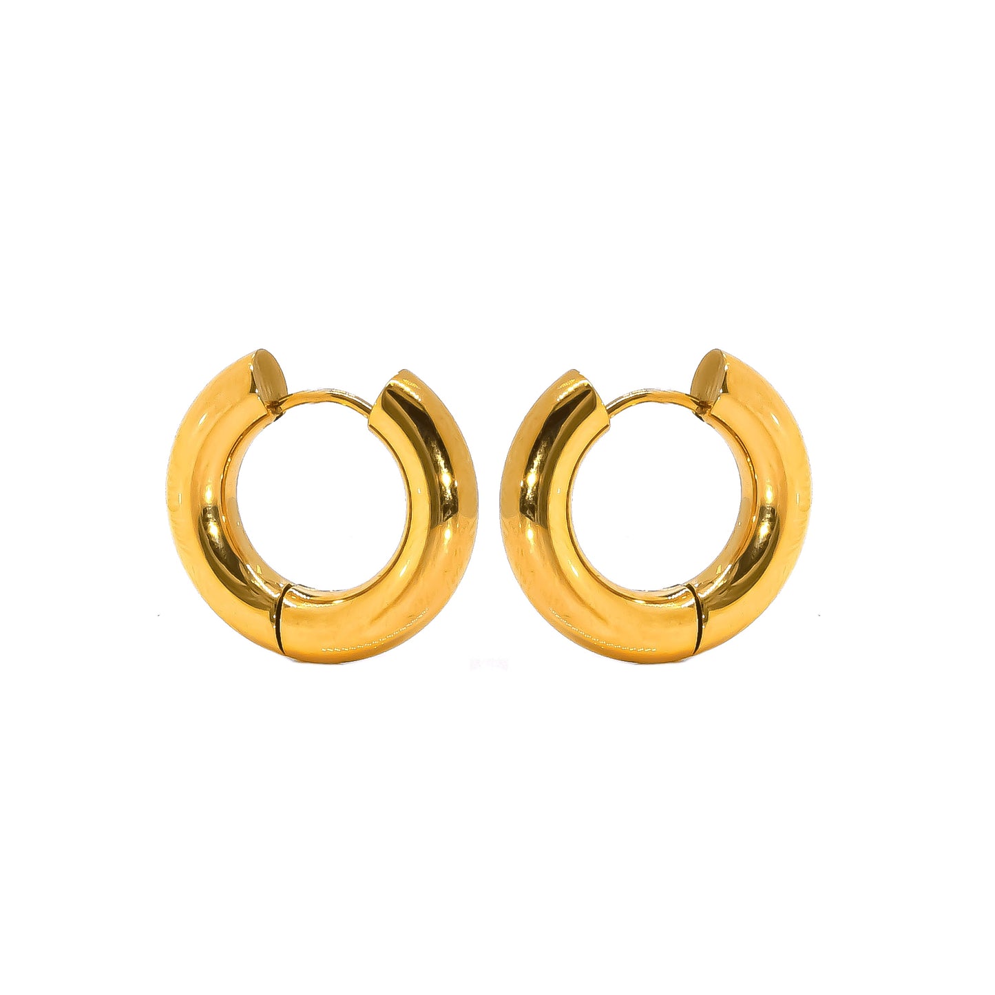 Bold Hoop Earrings