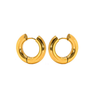 a pair of gold hoop earrings