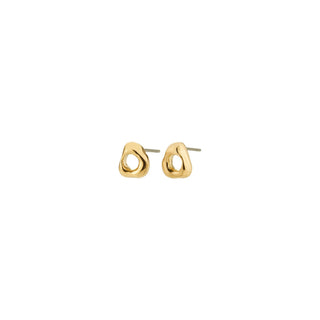Gold earrings on a white background