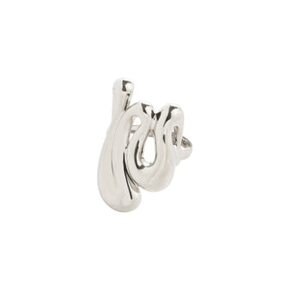 Silver earring on a white background