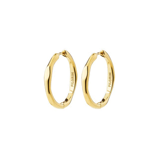 Inner Hoop Earrings