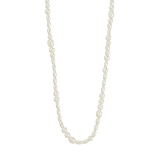 Pearl necklace on a white background