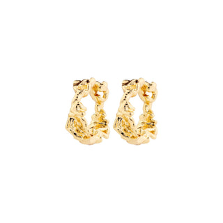 Gold hoop earrings on a white background