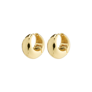Pair of gold hoop earrings on a white background