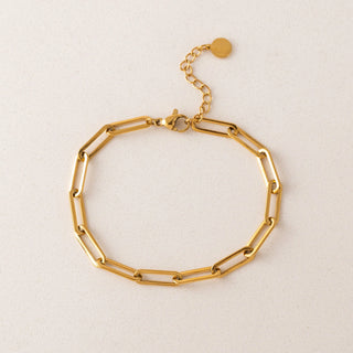 A gold paperclip chain bracelet with a lobster clasp and an adjustable extension chain featuring a small round tag, displayed on a light beige textured background.
