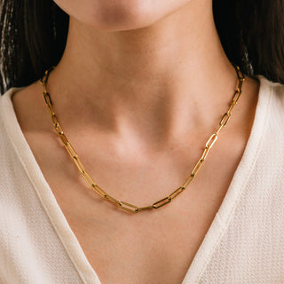 Gold chain necklace worn by a person against a neutral background