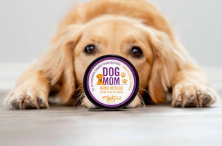 Dog with a container labeled 'Dog Mom Hand Rescue' on a light background