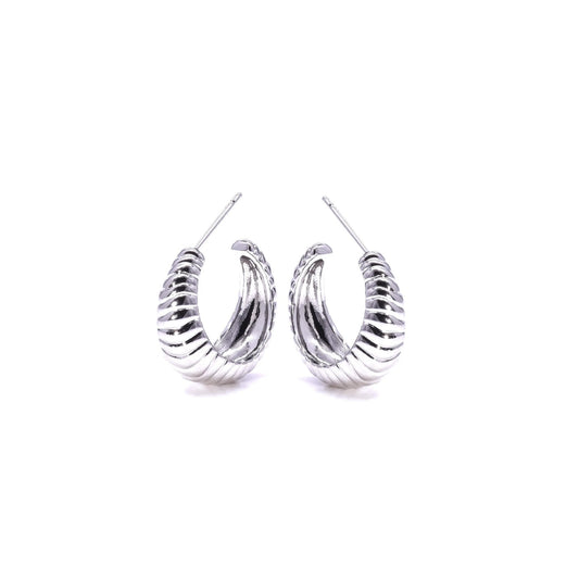 Passionate Hoop Earrings