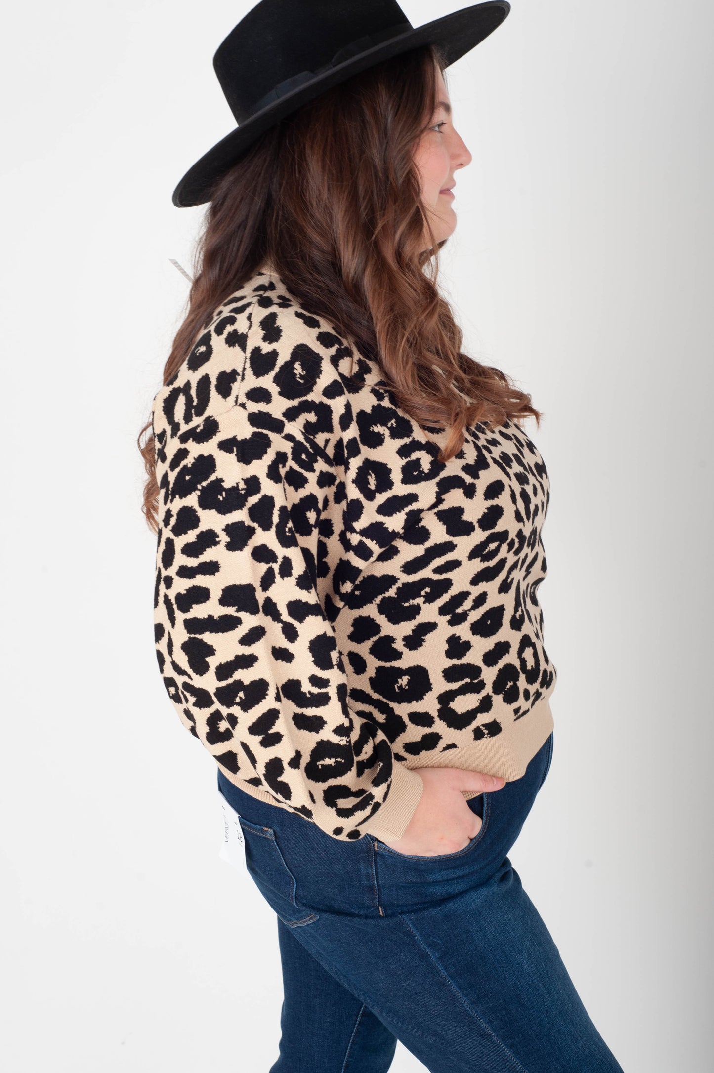 Curvy Charlotte Sweater