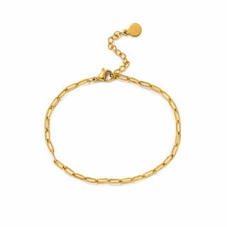 gold chain bracelet on a white background