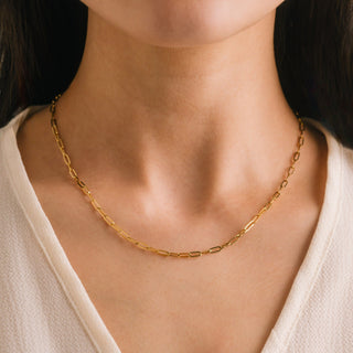 person wearing a gold chain necklace