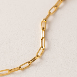 close up on a gold chain link necklace