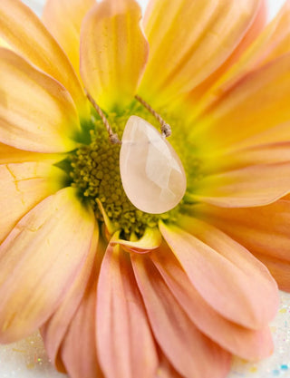 Close-up of a peach-colored flower with a white seed pod on top