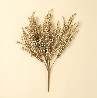 Bouquet of dried flowers on a beige background