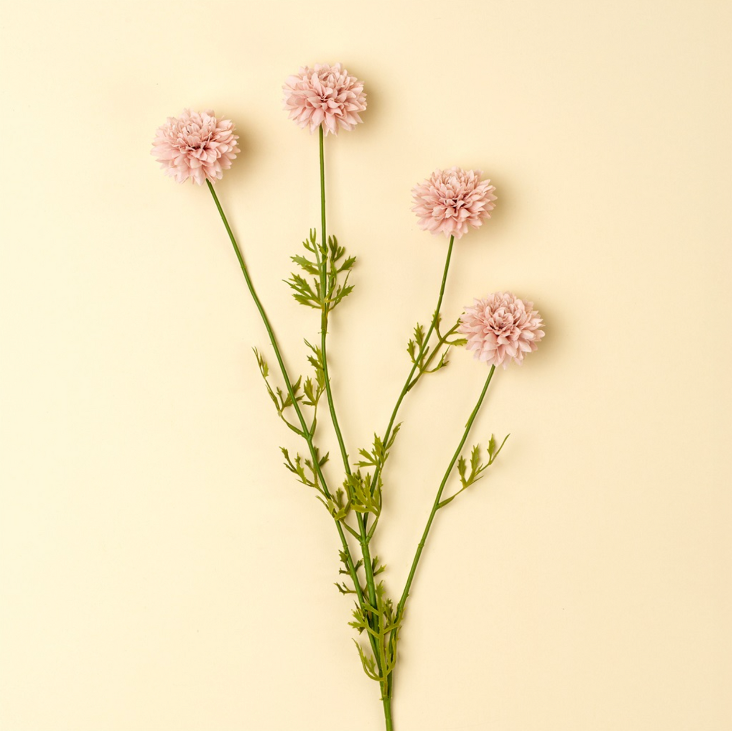 Bouquet of pink flowers with green stems on a light yellow background