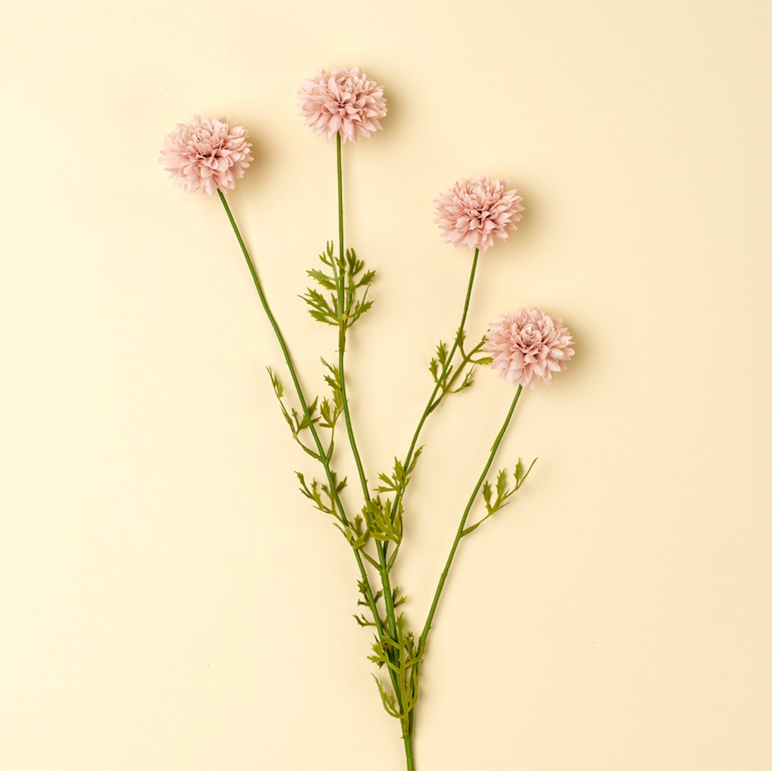 Bouquet of pink flowers with green stems on a light yellow background