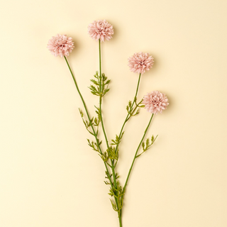 Bouquet of pink flowers with green stems on a light yellow background