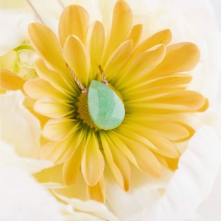 Yellow flower with a green stone in the center on a white background