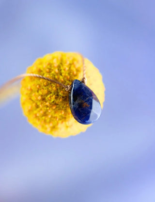 Close-up of a yellow flower with a water droplet on a blue background