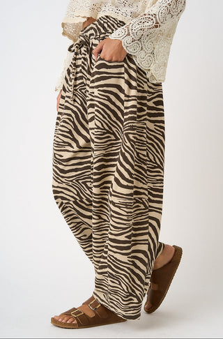 Zebra print pants worn with a white lace top on a plain background