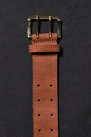 Brown leather belt with brass buckle on a black background
