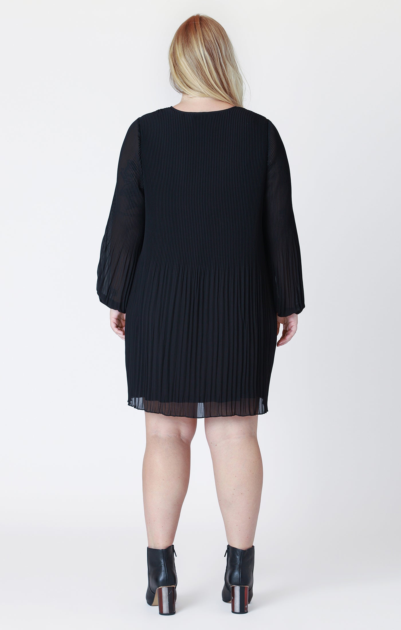 Curvy Rachel Pleated Dress